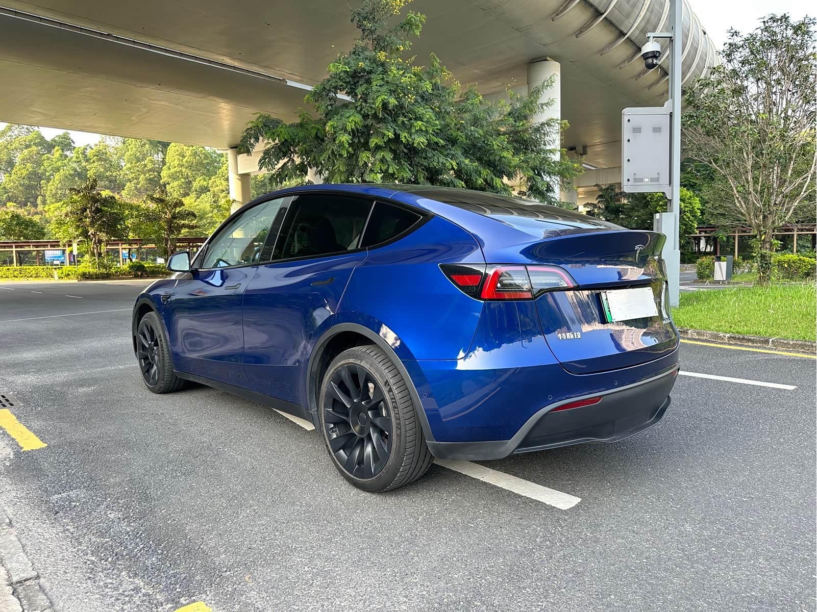 Tesla Model Y 2023 #3 Tesla Model Y 2023 car image #3