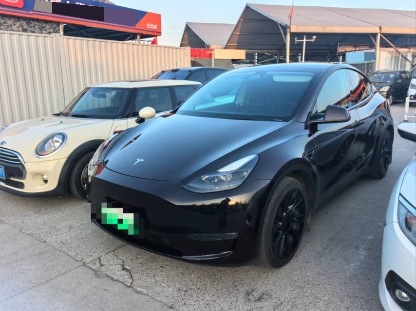 Tesla Model Y 2021 car image 