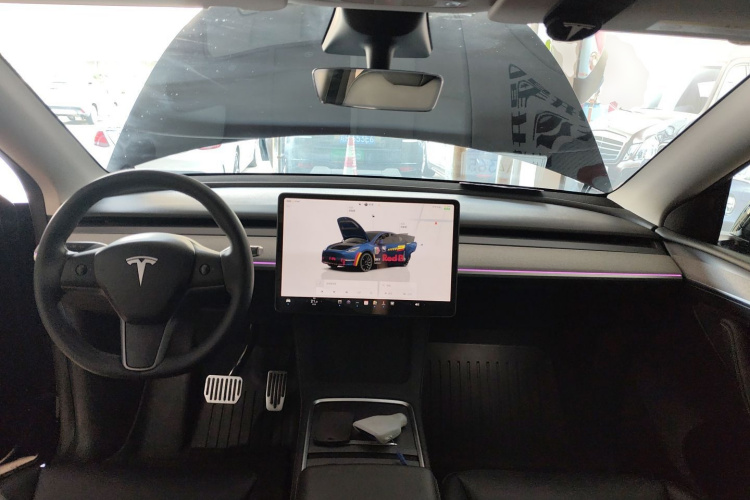 Tesla Model Y 2024 car image #10