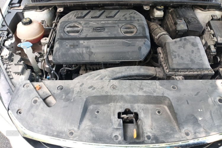 GEELY Binray 2019 #22 GEELY Binray 2019 immagine di auto #22