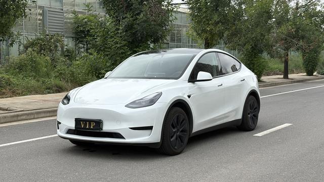 Tesla Model Y 2024 car image #23