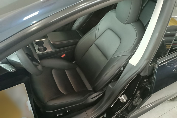 Tesla Model 3 2023 car image #19