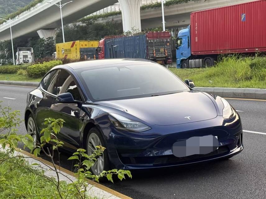 Tesla Model 3 (Imported) 2019 car image #2