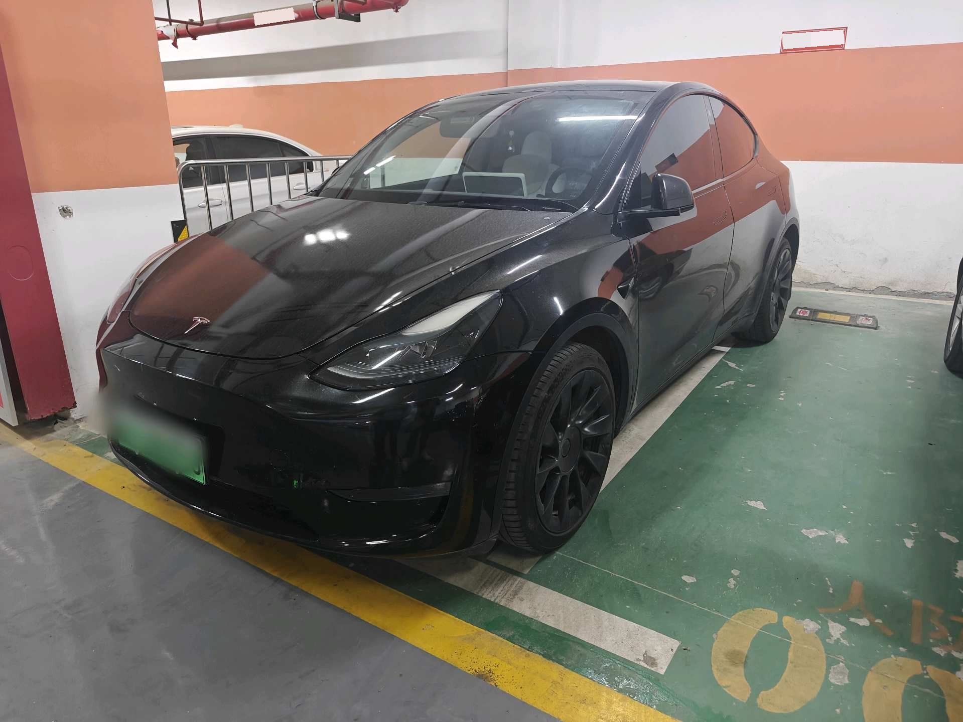 Tesla Model Y 2023 Tesla Model Y 2023 car image