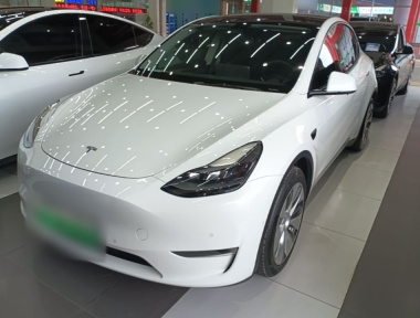 Tesla Model Y 2021 car image 