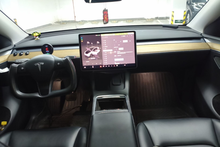 Tesla Model Y 2022 car image #10