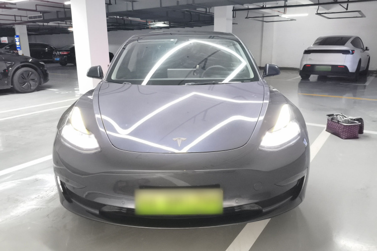 Tesla Model 3 2021 car image #3