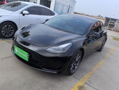 Tesla Model 3 2021 Tesla Model 3 2021 car image