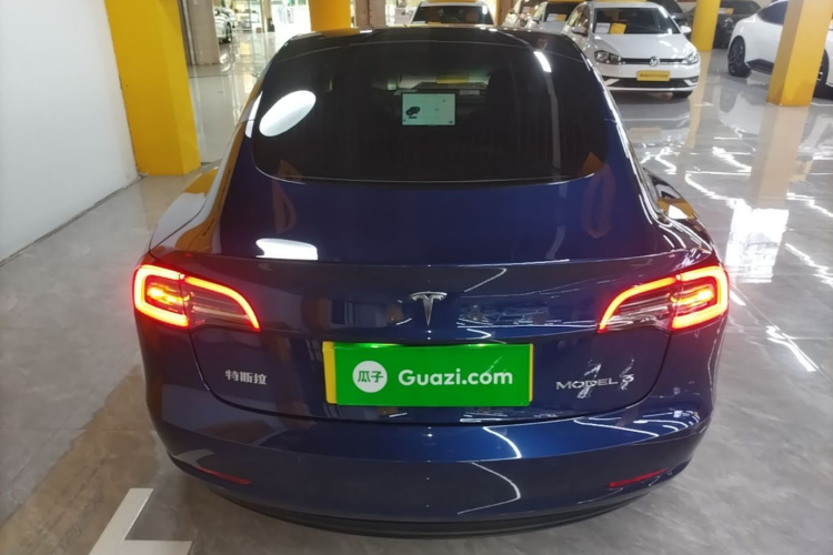 Tesla Model 3 2020 car image #6