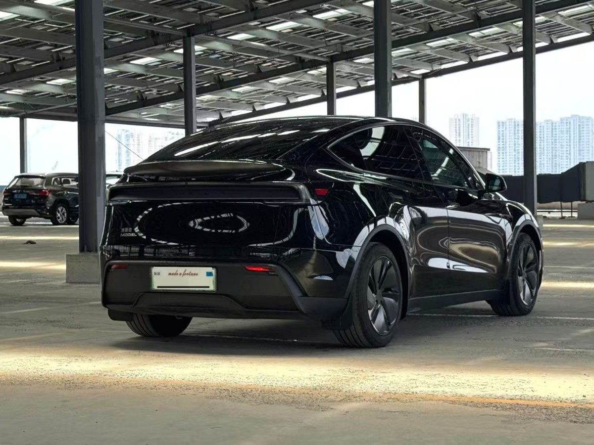 Tesla Model Y 2025 car image #6