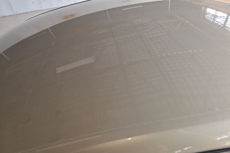 Volkswagen Bora 2019 car image #25