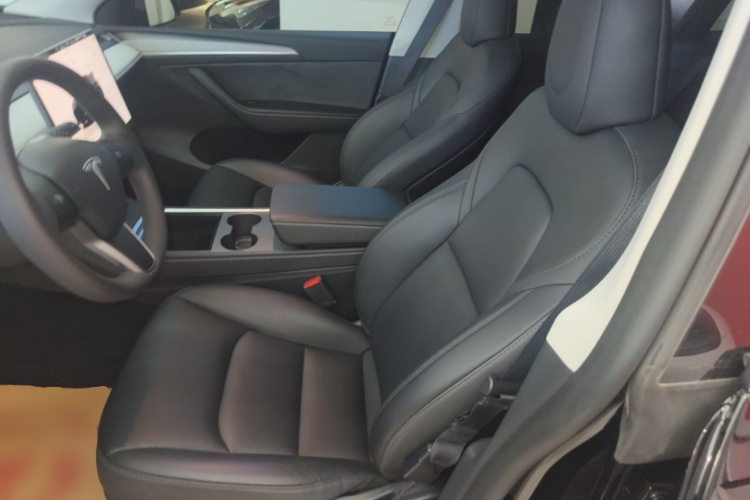 Tesla Model Y 2023 #15 Tesla Model Y 2023 car image #15