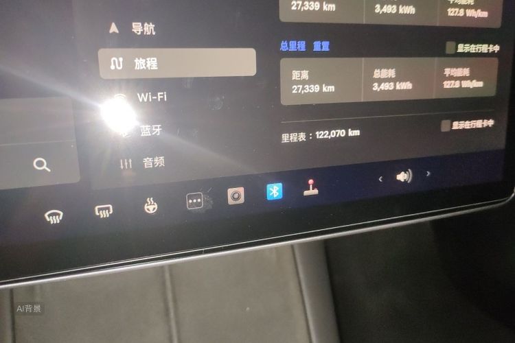 Tesla Model 3 2021 car image #14