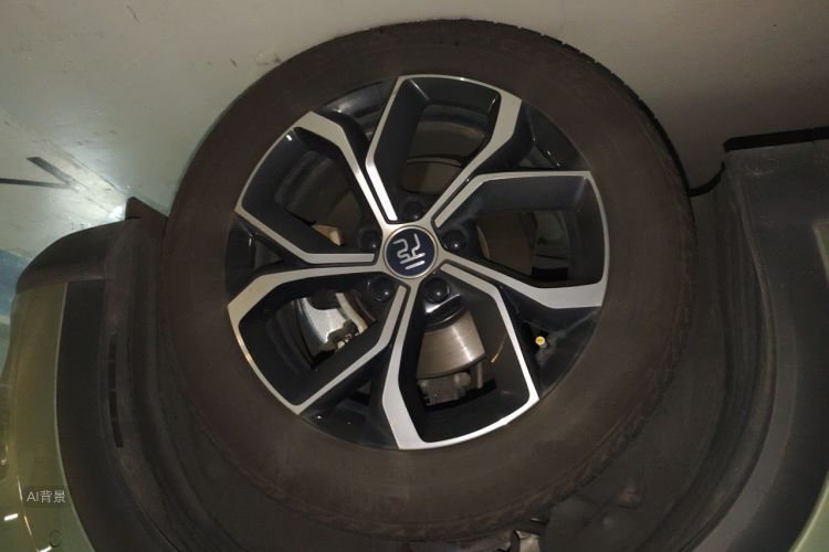 BYD Yuan Plus 2023 car image #9