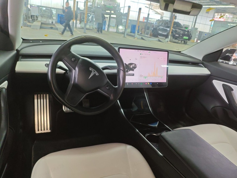 Tesla Model 3 (Imported) 2020 car image #5