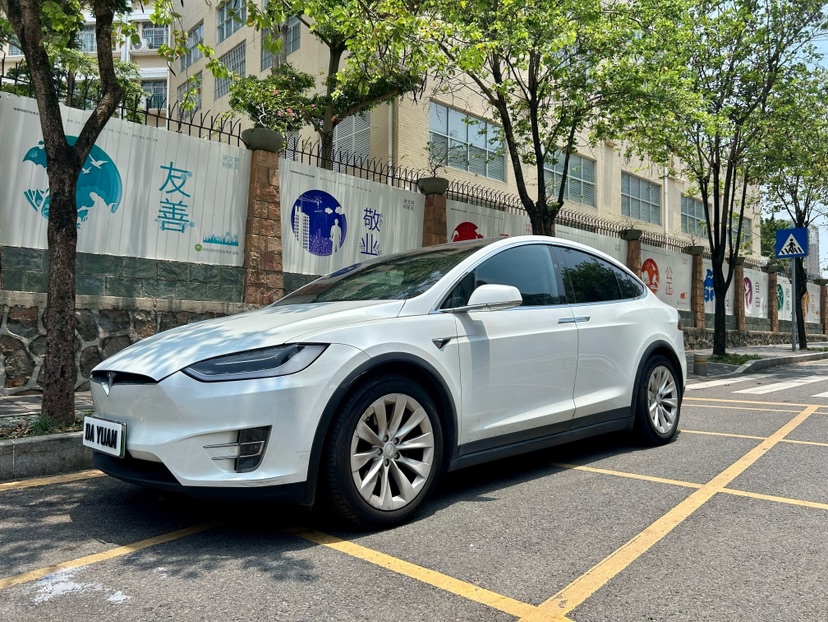 Tesla Model X 2018 Tesla Model X 2018 car image