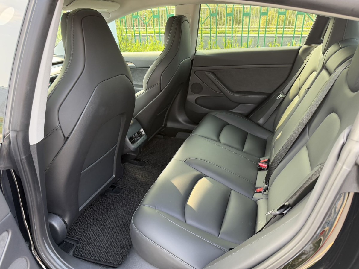 Tesla Model 3 2021 #4 Tesla Model 3 2021 car image #4