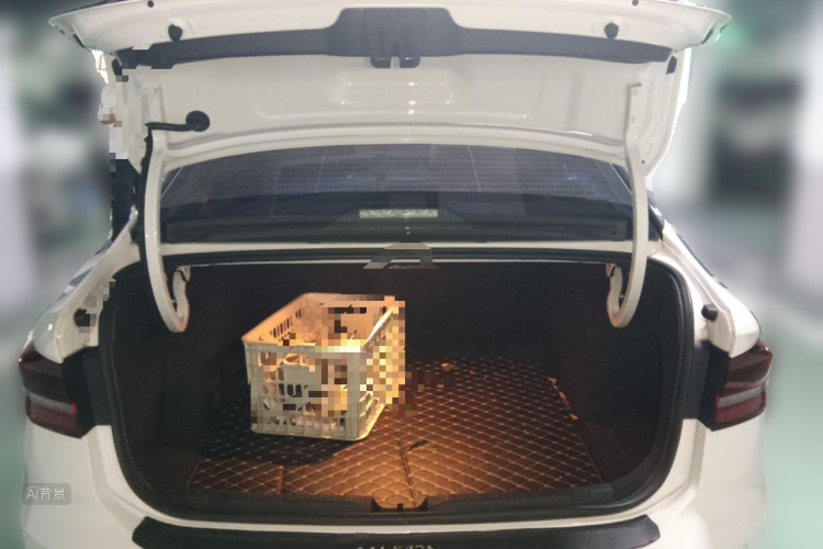 Volkswagen Lavida 2022 car image #21