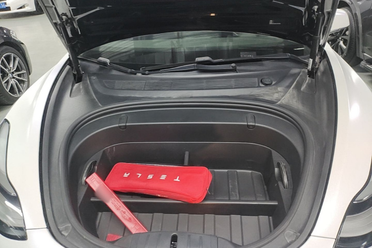 Tesla Model 3 2020 car image #20