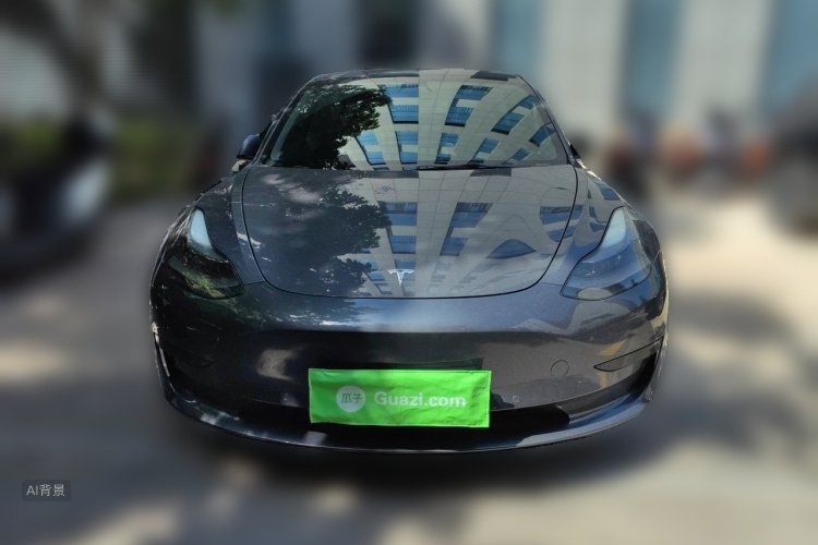 Tesla Model 3 2021 car image #3