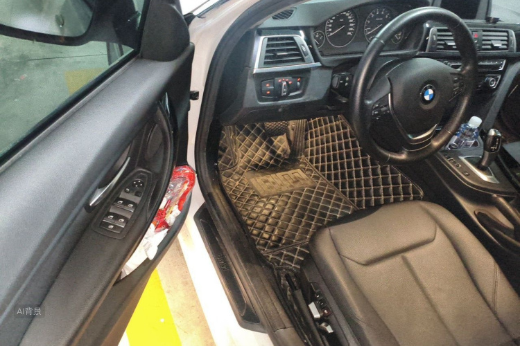 BMW 3 Series 2017 car image #18