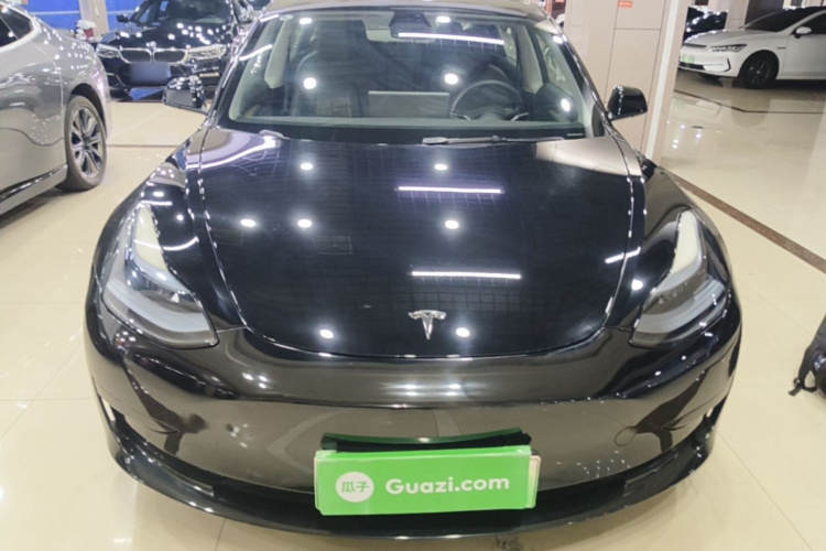 Tesla Model 3 2023 #3 Tesla Model 3 2023 car image #3