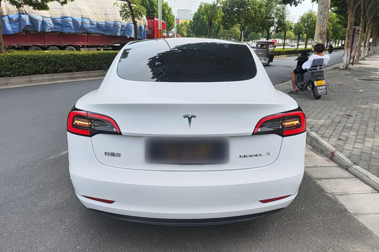 Tesla Model 3 2023 #6 Tesla Model 3 2023 car image #6