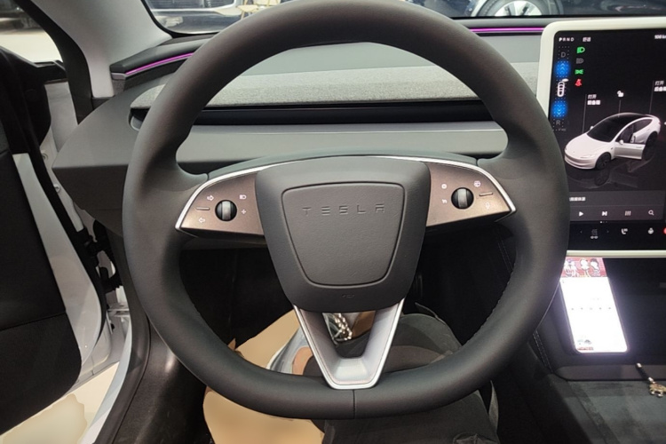 Tesla Model 3 2025 immagine di auto #11