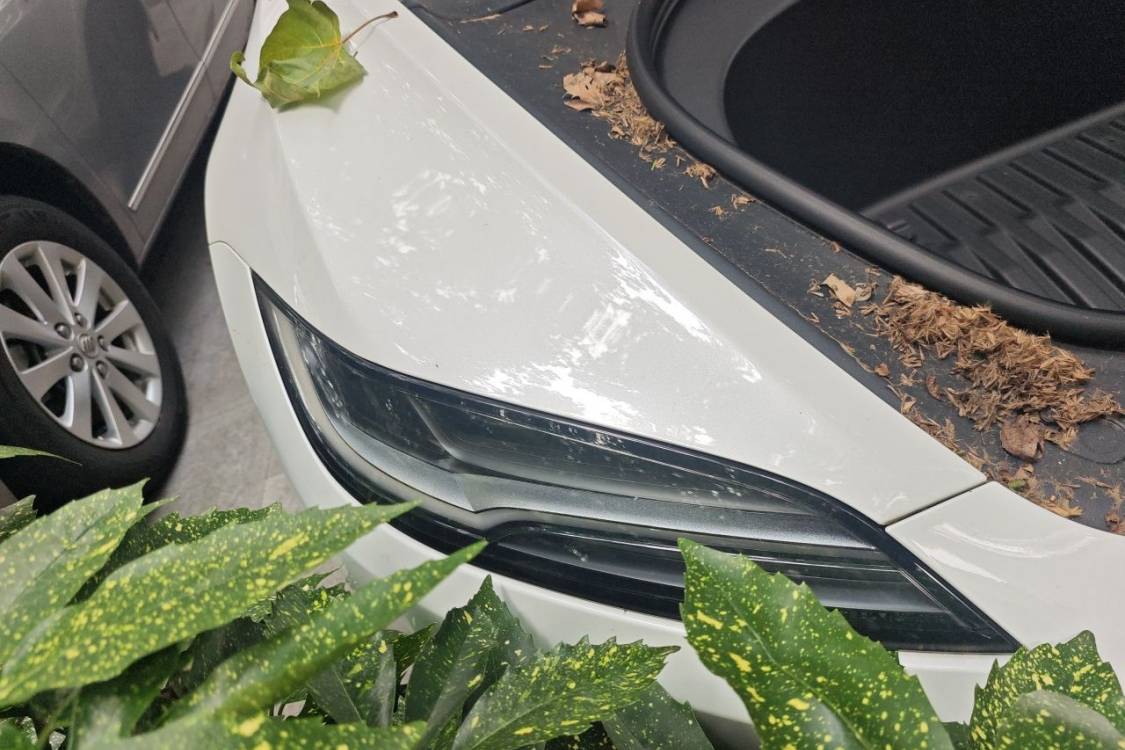 Tesla Model 3 2023 #7 Tesla Model 3 2023 car image #7