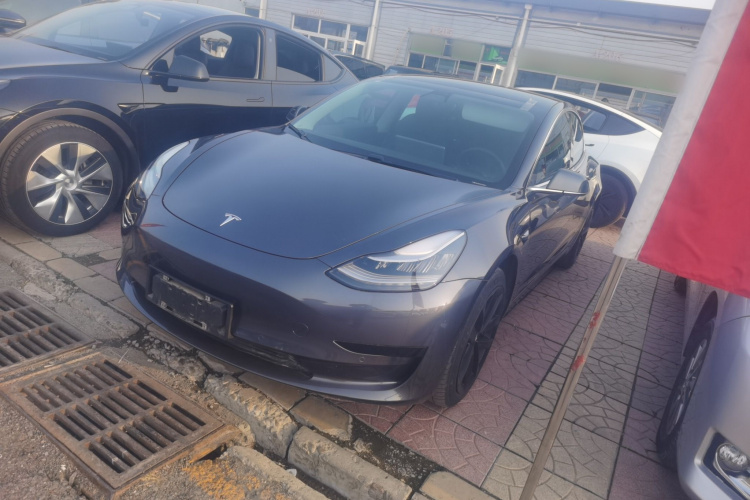 Tesla Model 3 2020 #2 Tesla Model 3 2020 car image #2