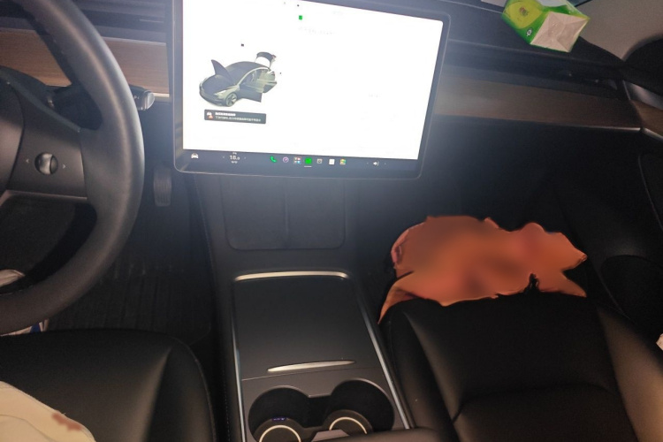 Tesla Model 3 2021 #17 Tesla Model 3 2021 car image #17