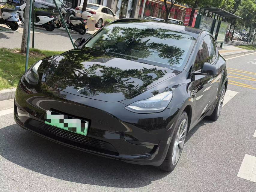 Tesla Model Y 2023 Tesla Model Y 2023 car image