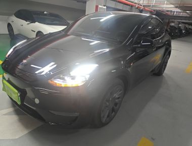 Tesla Model Y 2021 Tesla Model Y 2021 car image