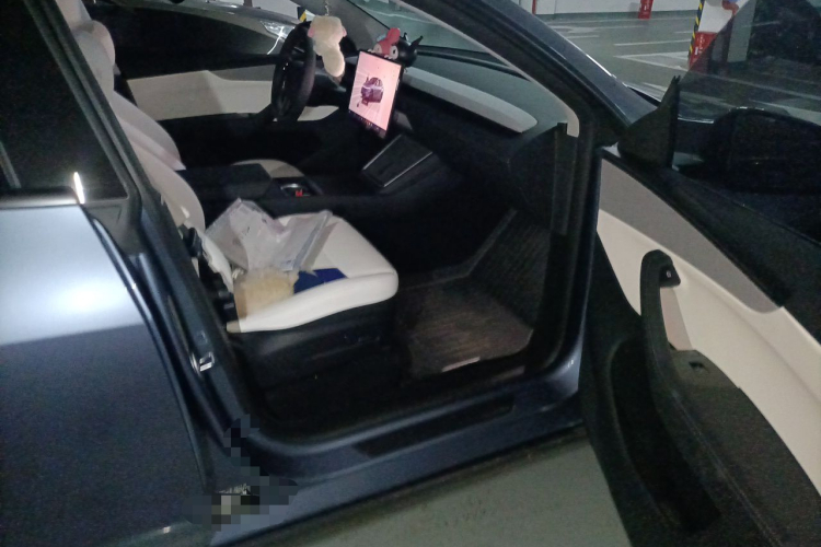 Tesla Model Y 2025 car image #23