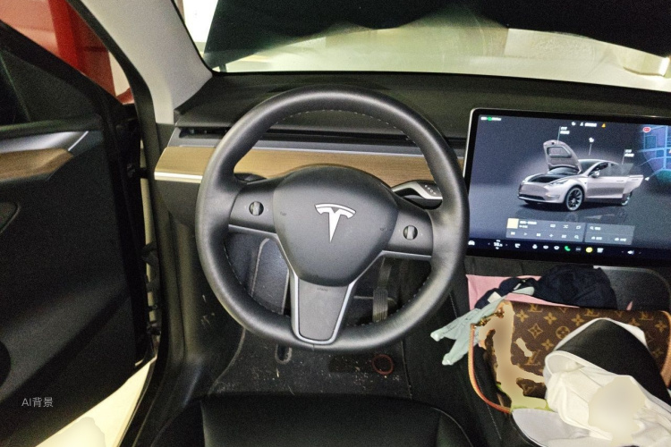 Tesla Model Y 2022 car image #12