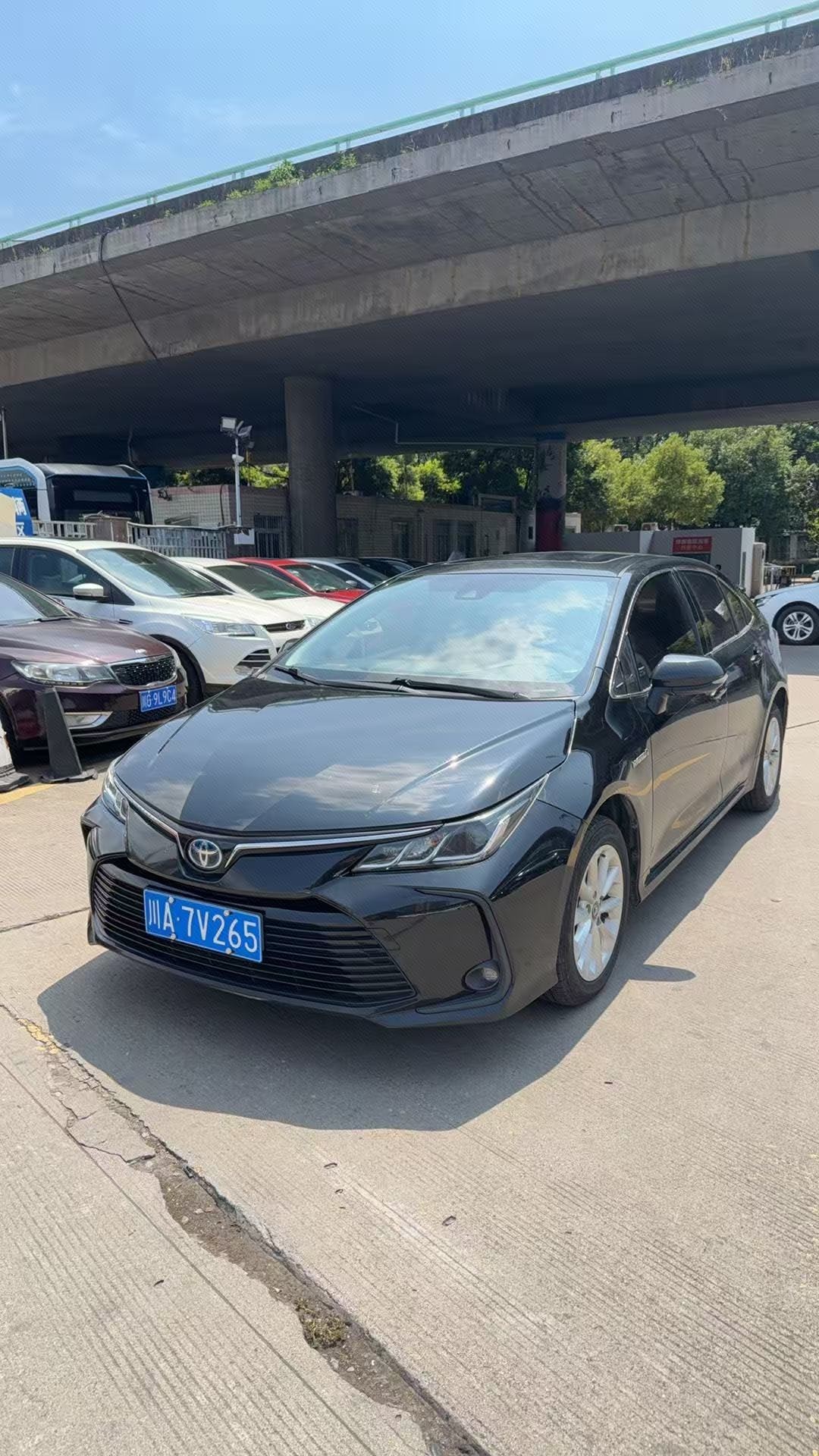 Toyota Corolla 2022 car image 