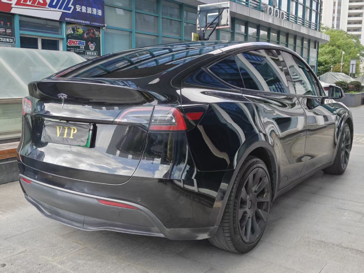Tesla Model Y 2021 car image #9