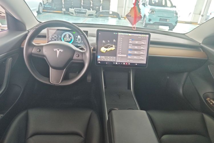 Tesla Model 3 2020 car image #10
