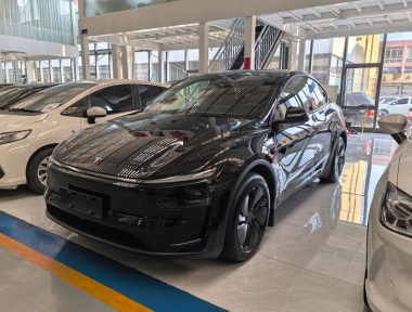 Tesla Model Y 2025 Tesla Model Y 2025 car image