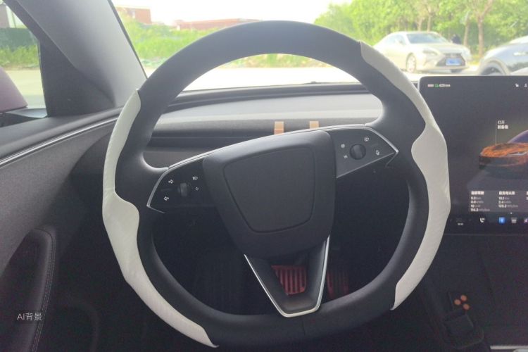 Tesla Model 3 2025 car image #12