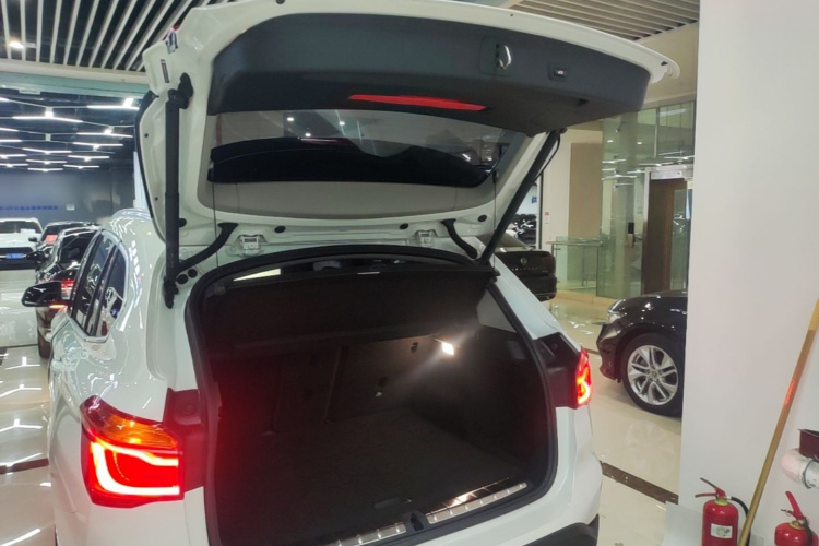BMW X1 2019 car image #19