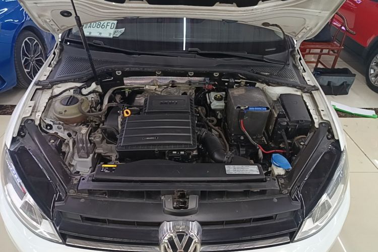 Volkswagen Golf 2016 car image #22