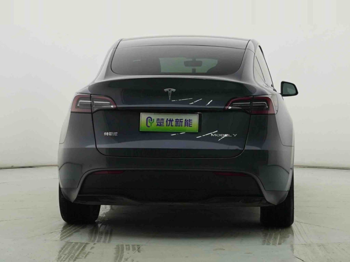 Tesla Model Y 2021 #5 Tesla Model Y 2021 car image #5