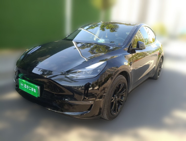 Tesla Model Y 2022 Tesla Model Y 2022 car image