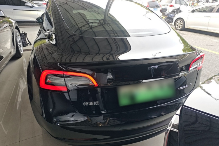 Tesla Model 3 2021 #6 Tesla Model 3 2021 car image #6