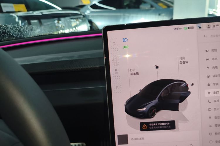 Tesla Model 3 2025 car image #18