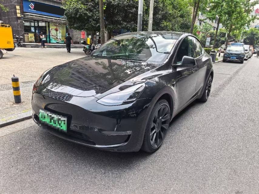 Tesla Model Y 2021 car image 
