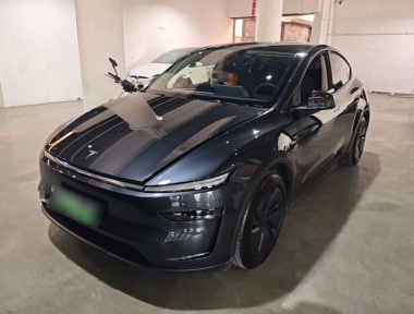 Tesla Model Y 2025 car image 