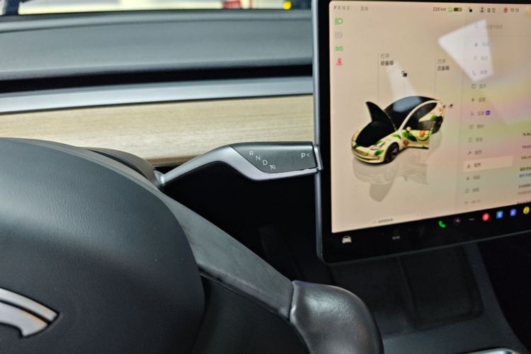 Tesla Model 3 2022 immagine di auto #14