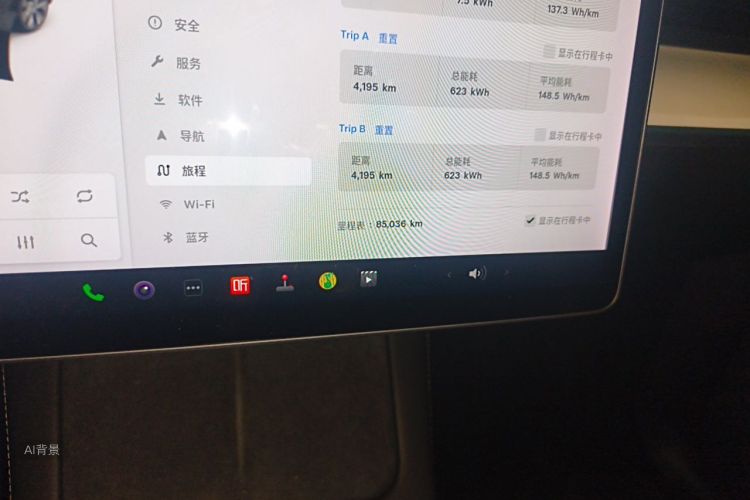 Tesla Model Y 2021 car image #14